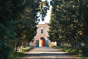 antinori wines apulia