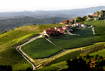 vini antinori piemonte