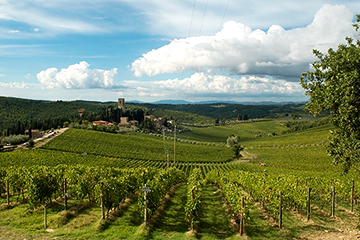 antinori wines tuscany