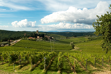 vini antinori toscana